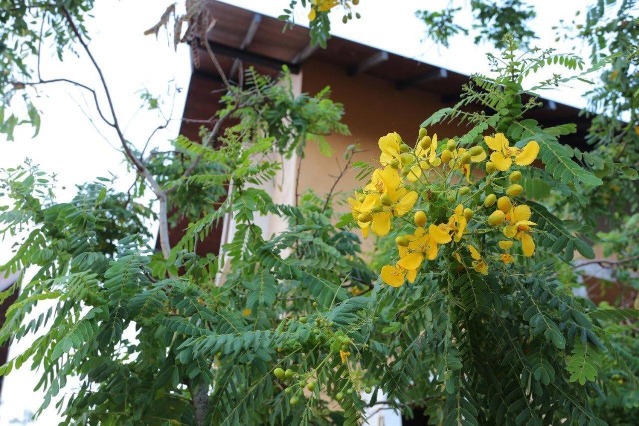 Lolu Village Resort Anuradhápura Exteriér fotografie